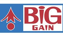 Big Gain Logo