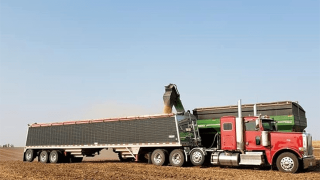 Truck Getting Loaded With Grain